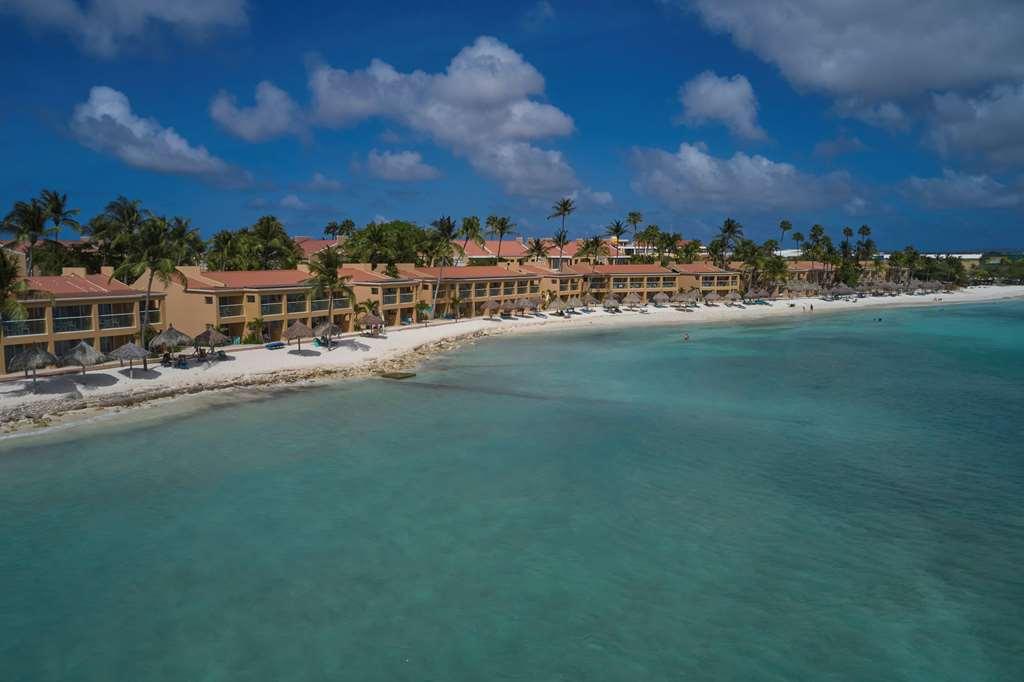 Divi Dutch Village Beach Resort Palm Beach Natură foto