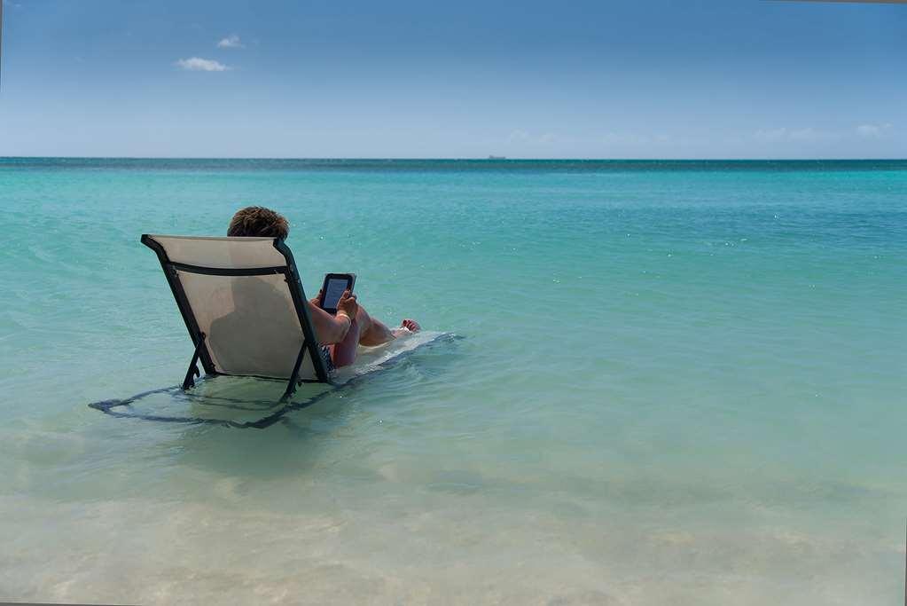 Divi Dutch Village Beach Resort Palm Beach Natură foto
